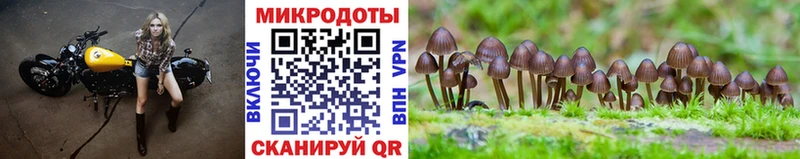 Псилоцибиновые грибы MAGIC MUSHROOMS  Купить закладки  Семикаракорск 